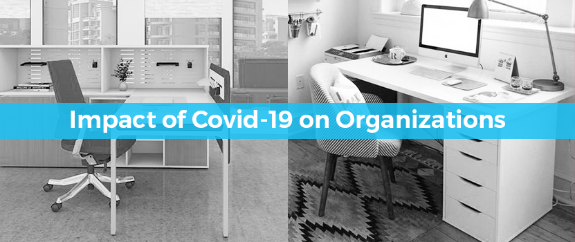 Best Comfortable Desk Chair